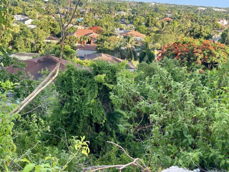 Lot #1038 Garden Hills | Nassau, Bahamas: Residential Land / Lot in Garden Hills, New Providence – photo 2 of 4