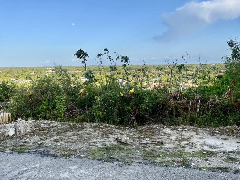 Lot #1038 Garden Hills | Nassau, Bahamas: Residential Land / Lot in Garden Hills, New Providence – photo 3 of 4