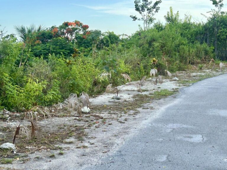 Lot #1038 Garden Hills | Nassau, Bahamas: Residential Land / Lot in Garden Hills, New Providence – photo 4 of 4
