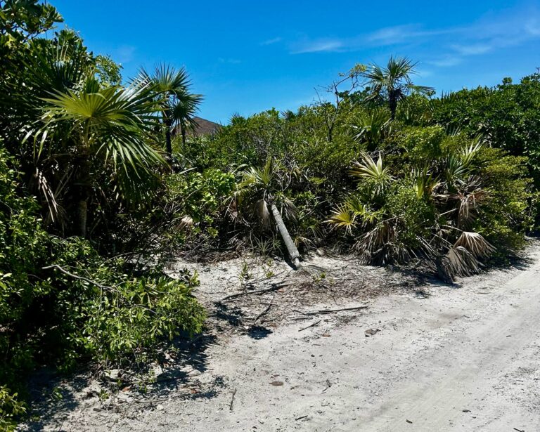 5 Bahama Sound | Exuma, The Bahamas: Residential Land / Lot in Bahama Sound, Exuma – photo 2 of 4