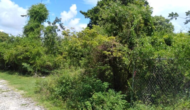 Parcela n.º 9: Villa Ferguson: Residential Land / Lot in Fox Hill, New Providence – photo 3 of 5