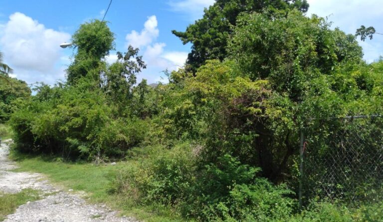 Parcela n.º 9: Villa Ferguson: Residential Land / Lot in Fox Hill, New Providence – photo 4 of 5