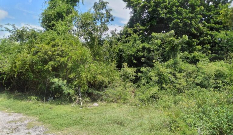 Parcela n.º 9: Villa Ferguson: Residential Land / Lot in Fox Hill, New Providence – photo 5 of 5