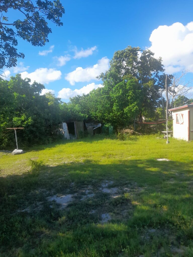 Kortright Street, Matthew photo 4