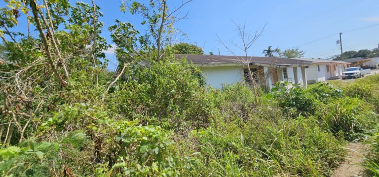 Parcela n.º 9 de la zona de Bruce Addition, Nassau, Bahamas: Dúplex en Soldier Road, New Providence – foto 3 de 4