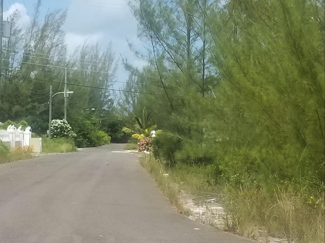Parcela n.º 7, Candy Lane: Terreno / lote residencial en Coral Heights, New Providence – foto 4 de 8