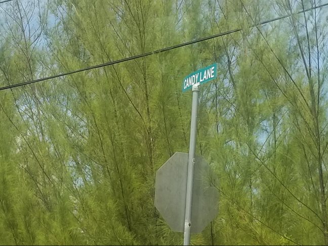 Parcela n.º 7, Candy Lane: Terreno / lote residencial en Coral Heights, New Providence – foto 5 de 8