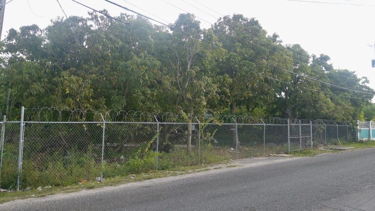 Croton Road Vacant Lot | Nassau, Bahamas: Residential Land / Lot in Faith Avenue, New Providence – photo 3 of 4