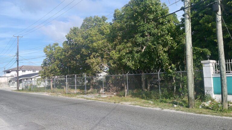 Croton Road Vacant Lot | Nassau, Bahamas: Residential Land / Lot in Faith Avenue, New Providence – photo 2 of 4