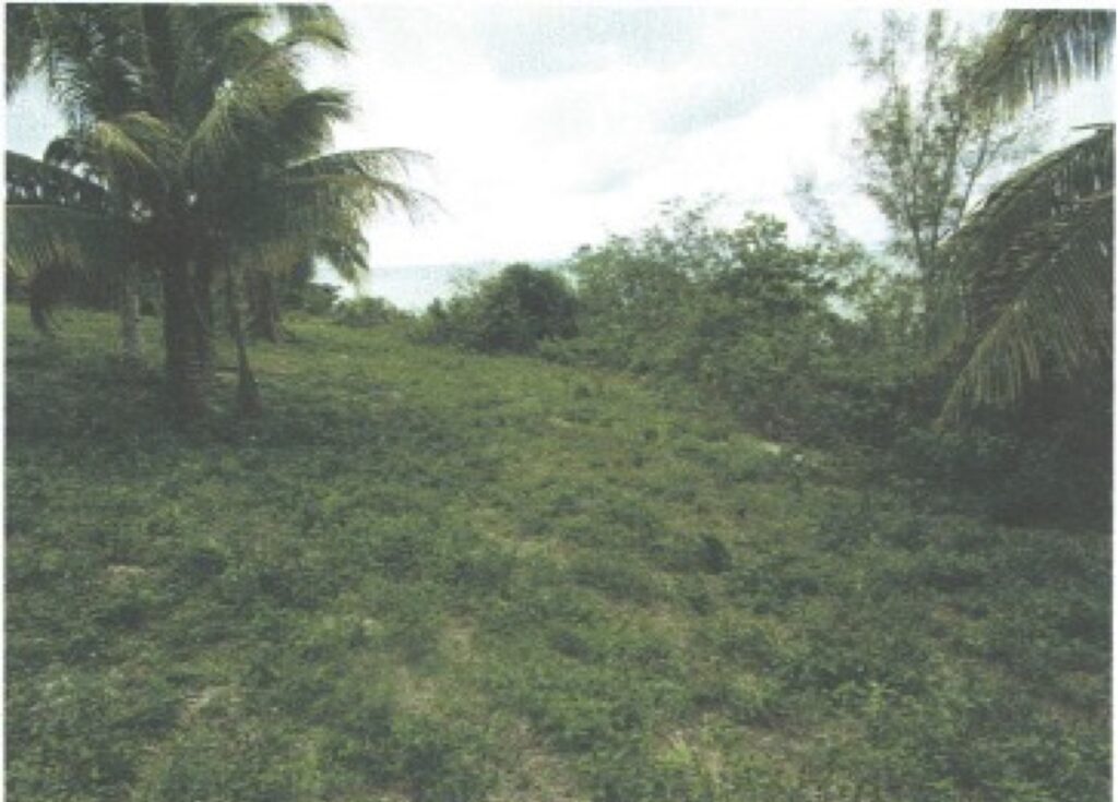 Bluff Eleuthera Bahamas | Vacant Lot: Residential Land / Lot in Bluff, Eleuthera – photo 1 of 4