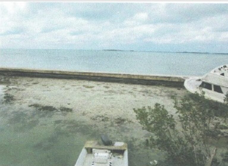 Bluff Eleuthera Bahamas | Vacant Lot: Residential Land / Lot in Bluff, Eleuthera – photo 4 of 4