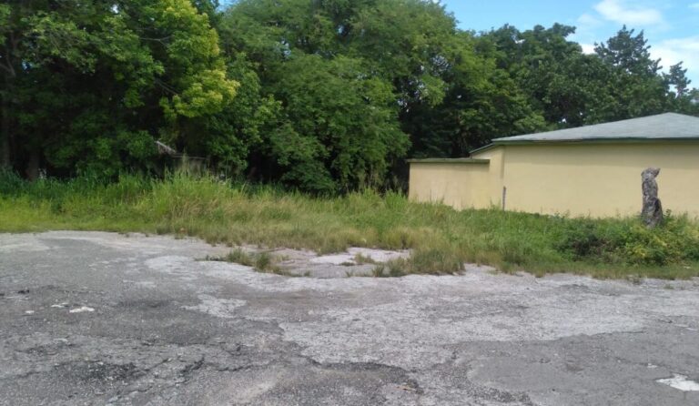 第3号地块 弗格森别墅:位于 Fox Hill, New Providence 的住宅用地 / 地块 – 第 5 张,共 5 张