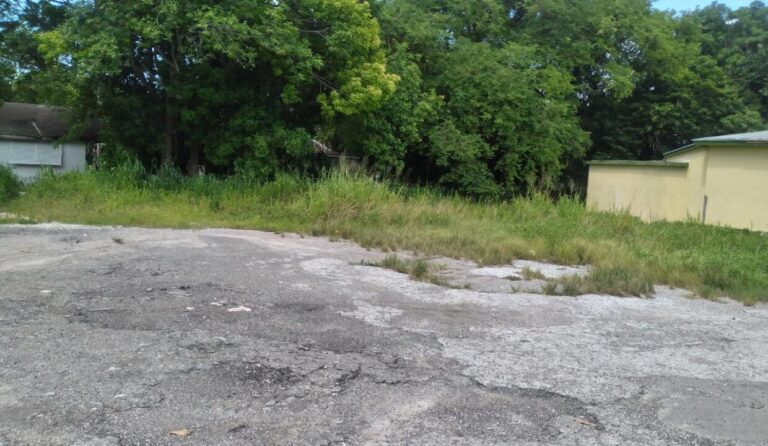 第3号地块 弗格森别墅:位于 Fox Hill, New Providence 的住宅用地 / 地块 – 第 4 张,共 5 张