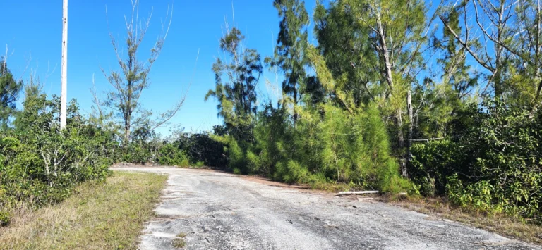 #6 Heybridge Close: Residential Land / Lot in Derby, Grand Bahama – photo 2 of 7