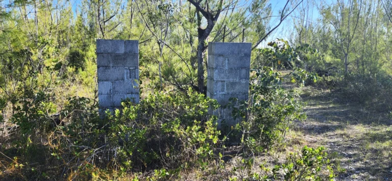 #6 Heybridge Close: Residential Land / Lot in Derby, Grand Bahama – photo 3 of 7