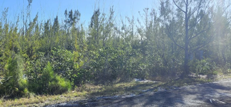 #6 Heybridge Close: Residential Land / Lot in Derby, Grand Bahama – photo 4 of 7