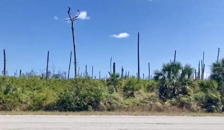 Lot #66 Blackwood Ext.: Residential Land / Lot in Treasure Cay, Abaco – photo 2 of 3