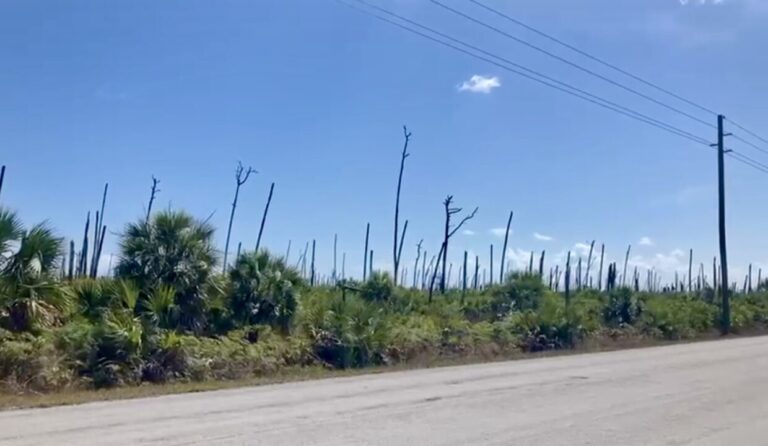 Lot #66 Blackwood Ext.: Residential Land / Lot in Treasure Cay, Abaco – photo 3 of 3