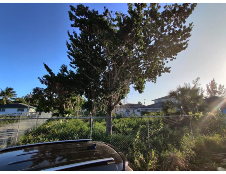 Cowpen Road Oeste: Propiedad de uso mixto en Cowpen, New Providence – foto 3 de 3