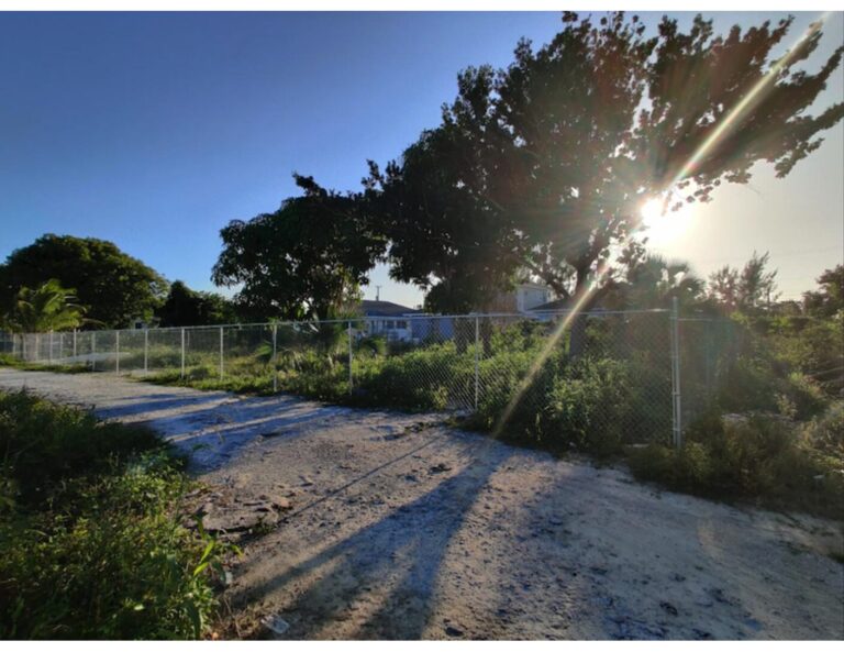Cowpen Road Oeste: Propiedad de uso mixto en Cowpen, New Providence – foto 2 de 3