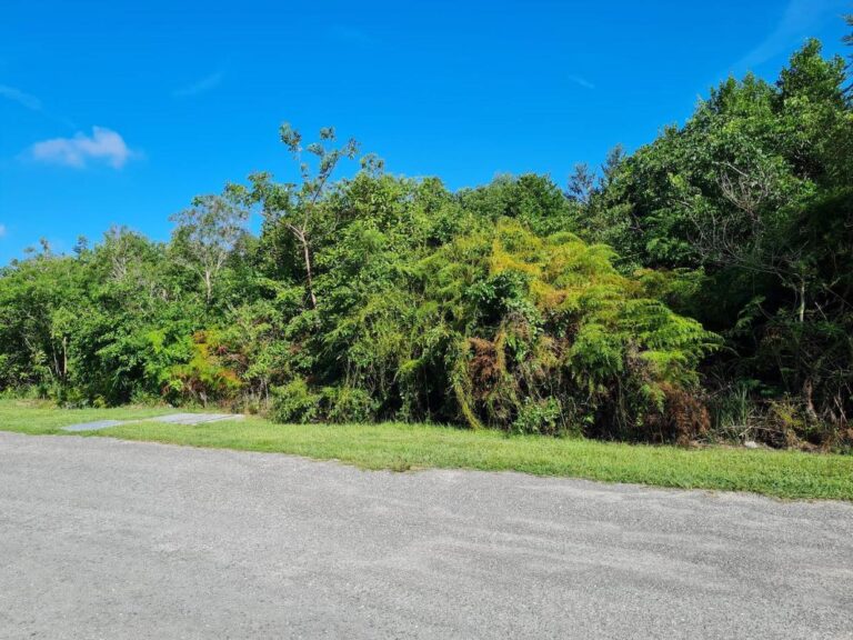 Serenity | Parcela de Seahorse Drive | Nassau, Bahamas: Terreno / lote residencial en Serenity, New Providence – foto 2 de 4