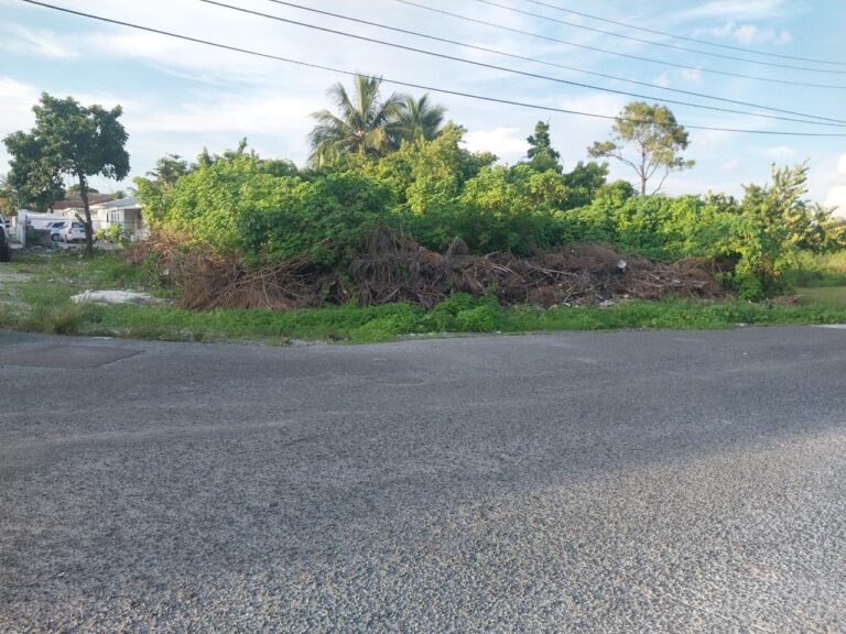 Carvel Road Vacant Lot: Residential Land / Lot in Southern Shores, New Providence – photo 3 of 4