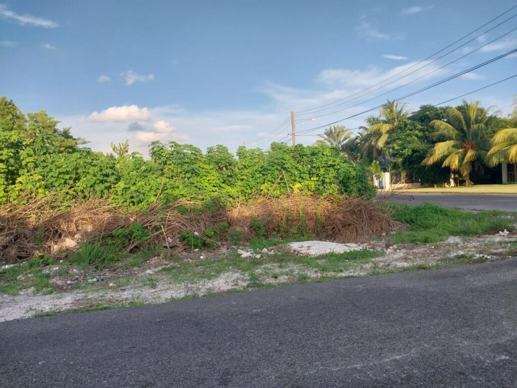 Carvel Road Vacant Lot: Residential Land / Lot in Southern Shores, New Providence – photo 1 of 4