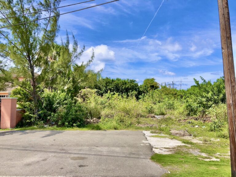 Tropical Gardens Lot: Residential Land / Lot in Tropical Gardens, New Providence – photo 2 of 5
