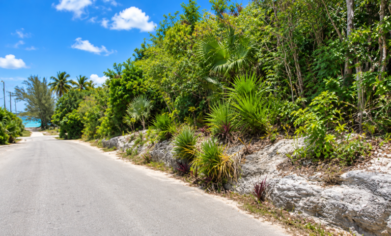 Lot 43 A Savannah Sound: Residential Land / Lot in Savannah Sound, Eleuthera – photo 3 of 3