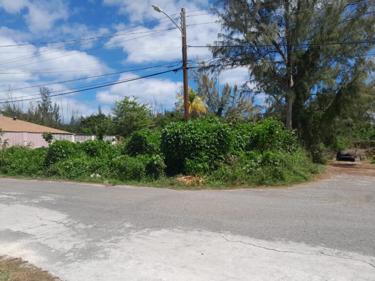 St. Andrew's Beach Estates | Nassau, Bahamas: Residential Land / Lot in St Andrews Beach Estates, New Providence – photo 5 of 8