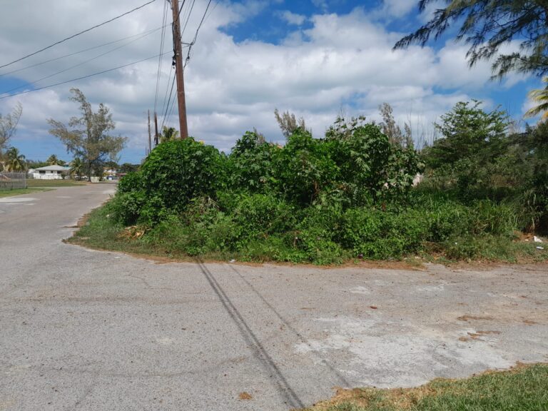 St. Andrew's Beach Estates | Nassau, Bahamas: Residential Land / Lot in St Andrews Beach Estates, New Providence – photo 4 of 8