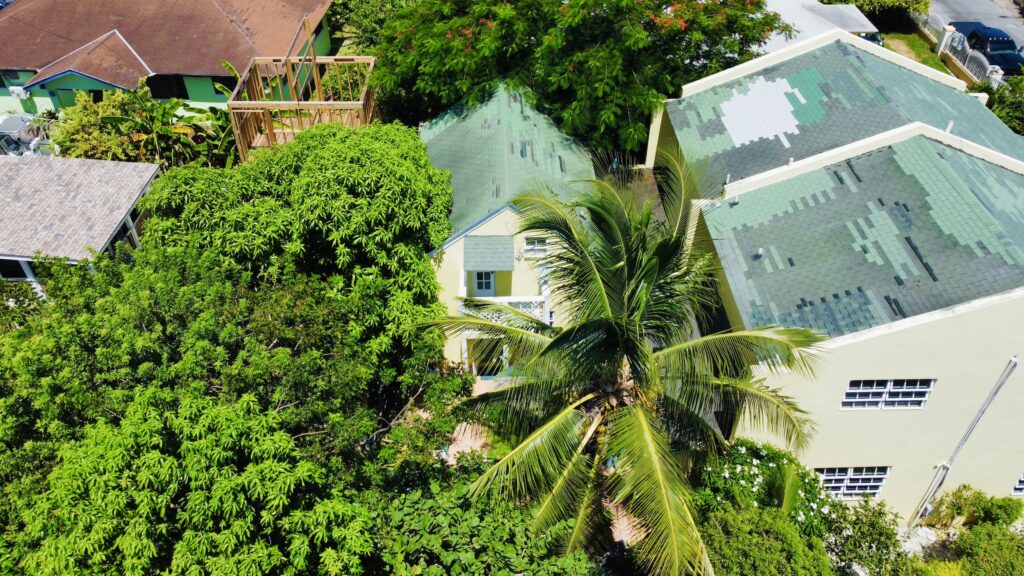 Misty Flowers Apartment Unit: Apartment in South Beach, New Providence – photo 1 of 3
